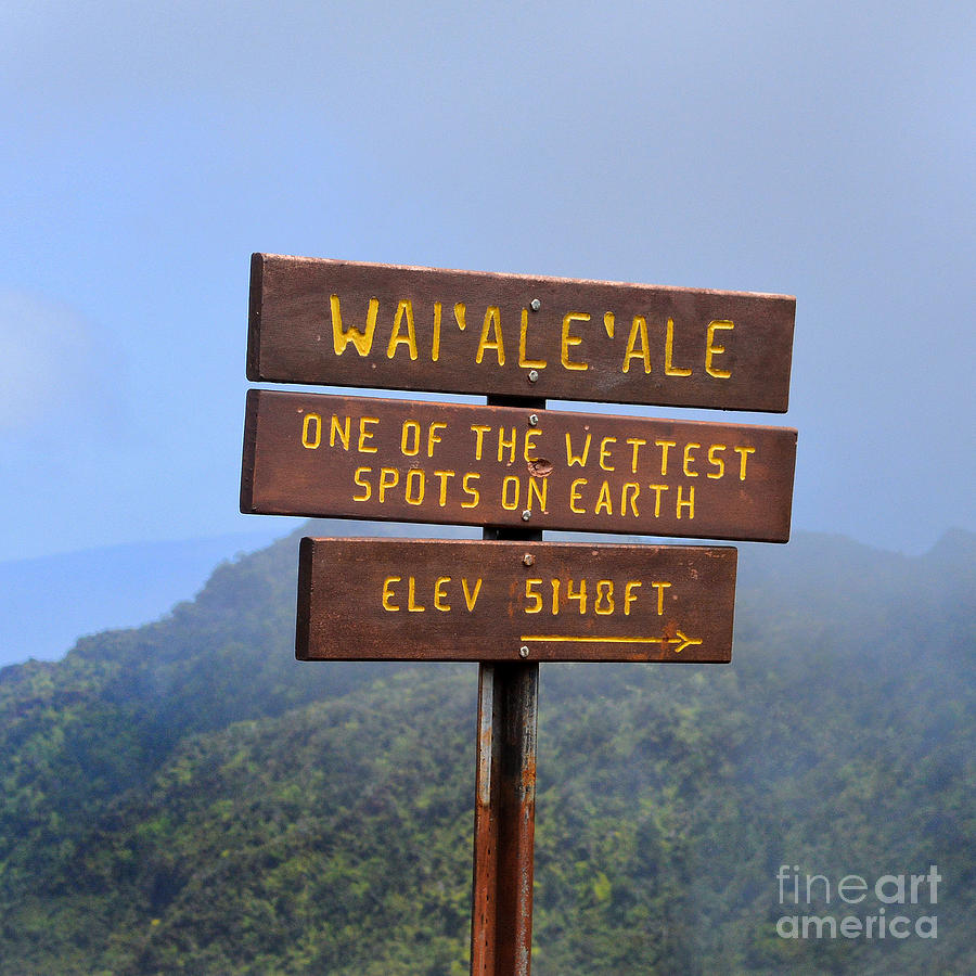 Mount Waialeale Sign in Kauai Photograph by Catherine Sherman