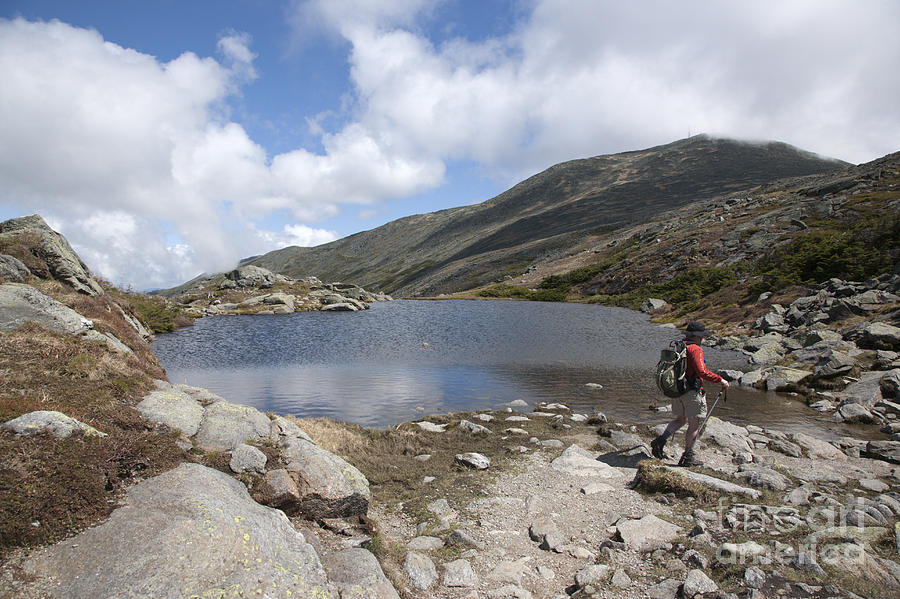 Mount Washington New Hampshire Usa Lakes Of The Clouds Photograph By