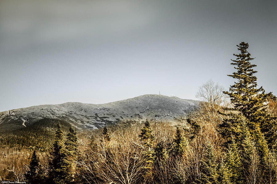 Mount Washington  Photograph by Debra Forand