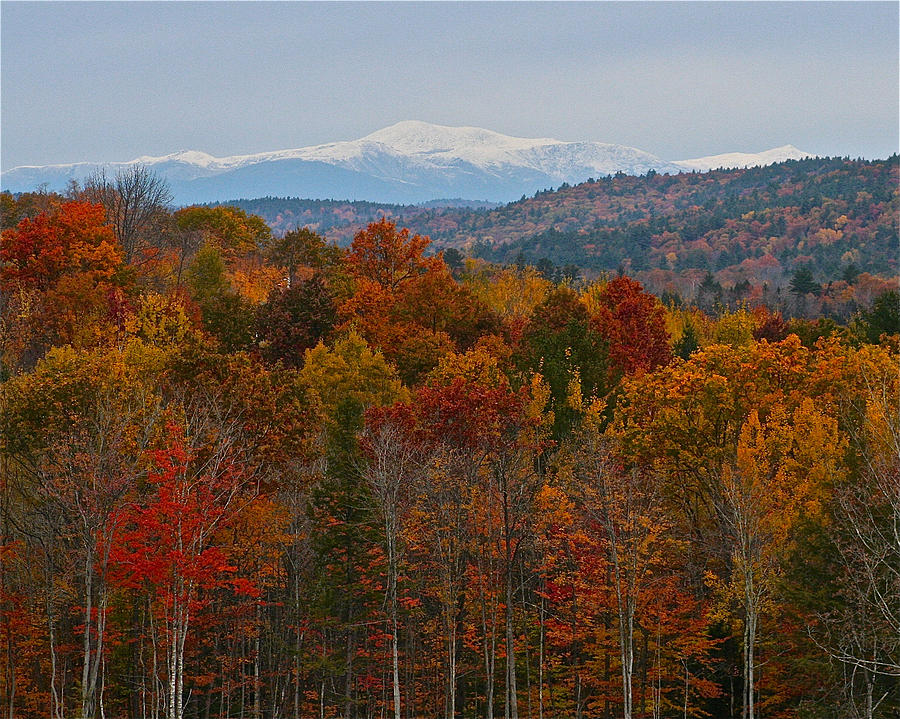 Mount Washington from a distance Photograph by Jeremy McKay