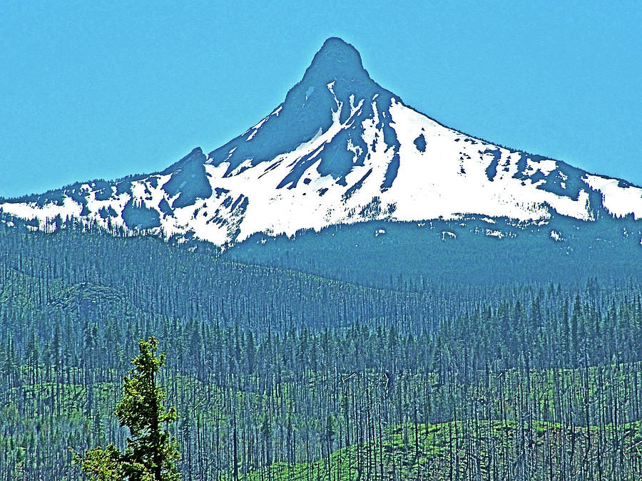 Mount Washington from Highway 126, Oregon Photograph by Ruth Hager