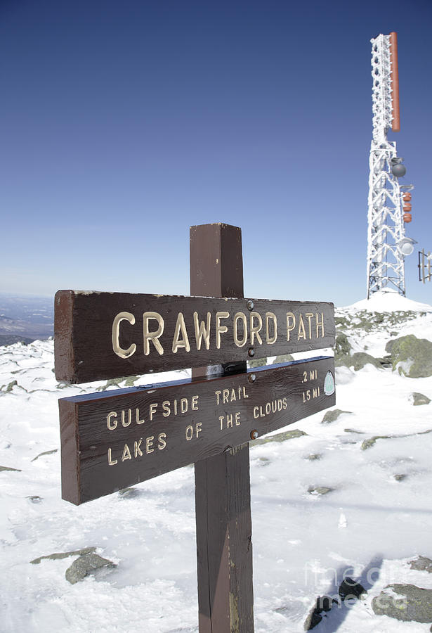 Mount Washington New Hampshire - Crawford Path Photograph by Erin Paul Donovan
