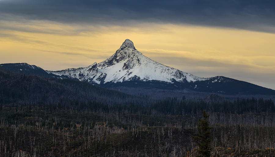 Mount Washington, Oregon Photograph by Scott Slone
