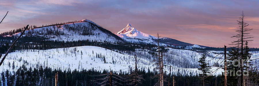 Mount Washington Panorama Photograph