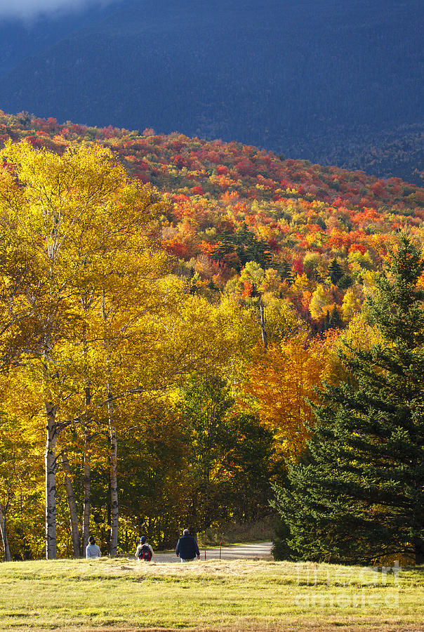 Mount Washington Valley - White Mountains New Hampshire Autumn Photograph by Erin Paul Donovan