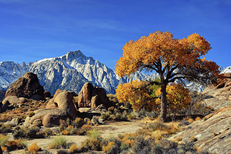 Mount Whitney Photograph by Lawrence Knutsson