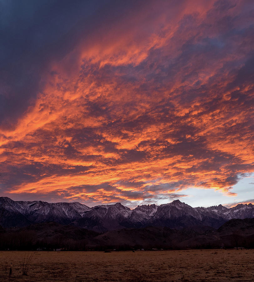 Mount Whitney Photograph by Martin Gollery
