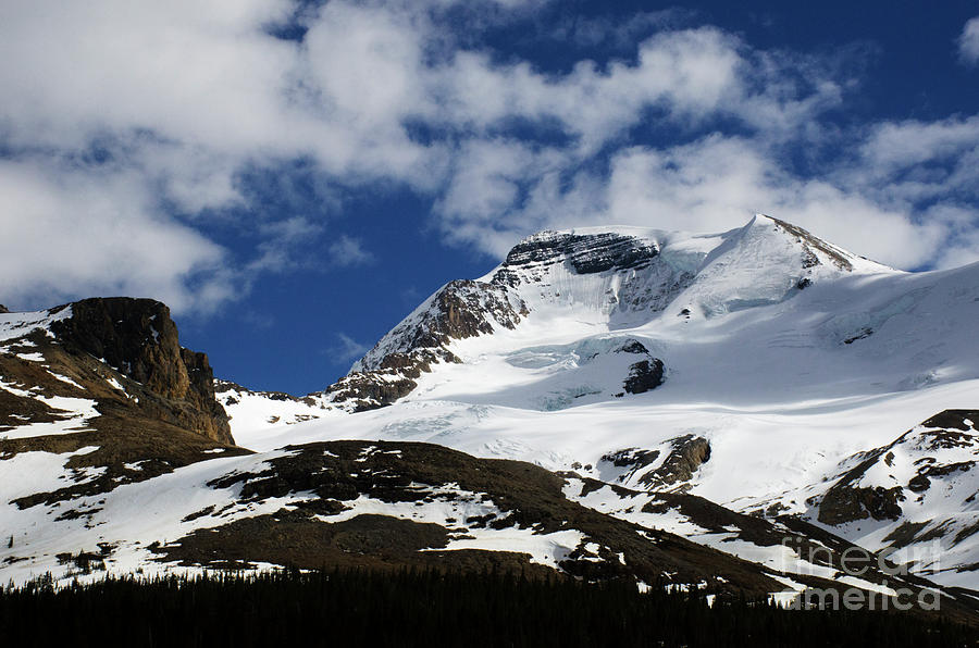 Mount Wilcox Jasper National Park Photograph by Bob Christopher