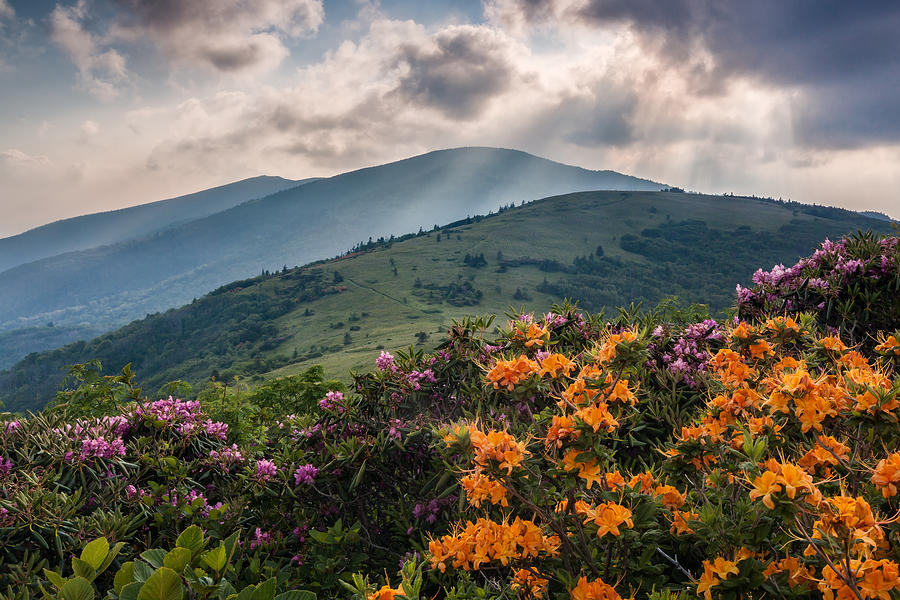 Mountain Aflame Photograph by Rob Travis