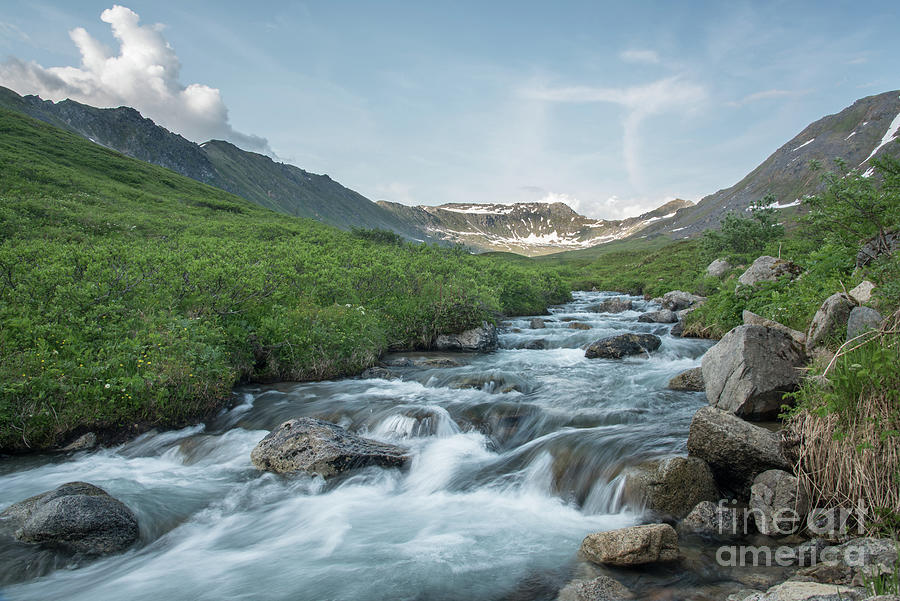 Mountain Alaskan Stream Photograph by Paul Quinn