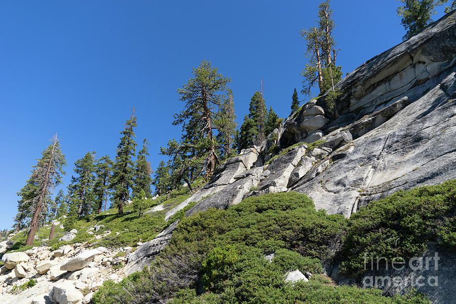 Mountain Along Tioga Pass Yosemite California dsc04218 Photograph by Wingsdomain Art and Photography
