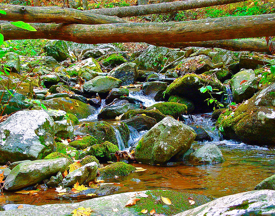 Mountain Appalachian Stream 2 Photograph by The James Roney Collection
