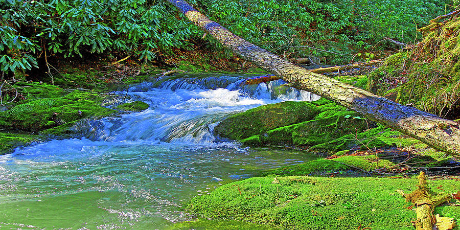 Mountain Appalachian Stream Photograph by The James Roney Collection