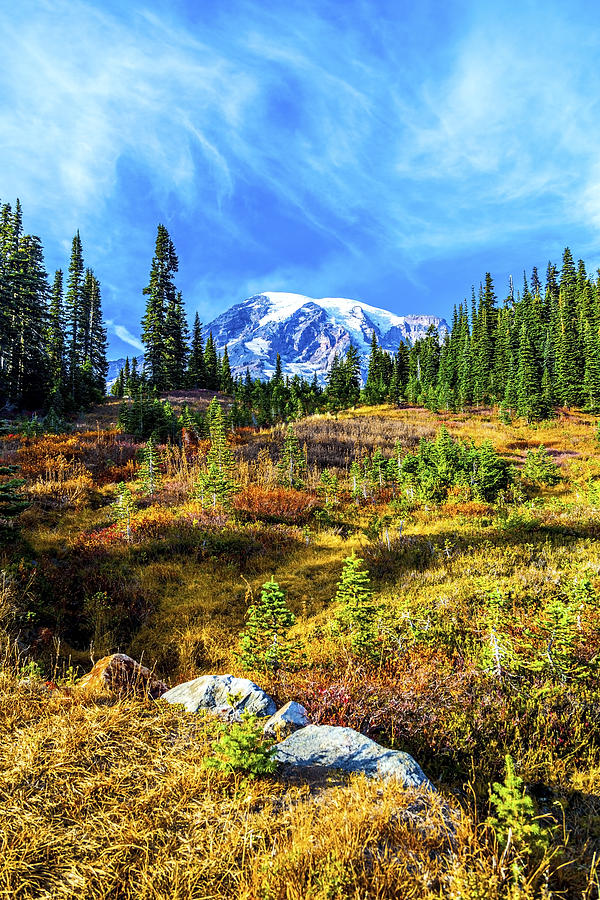 Mountain Autumn Photograph by Larry Waldon