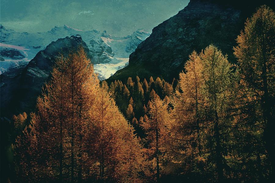 Mountain autumn Photograph by Vittorio Chiampan - Fine Art America