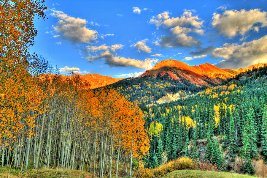 Mountain Beauty of Fall Photograph by Scott Mahon