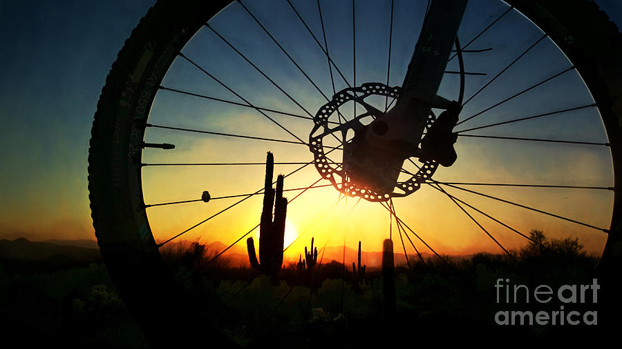 Mountain Bike and Saguaro Sunrise  Photograph by Marianne Jensen