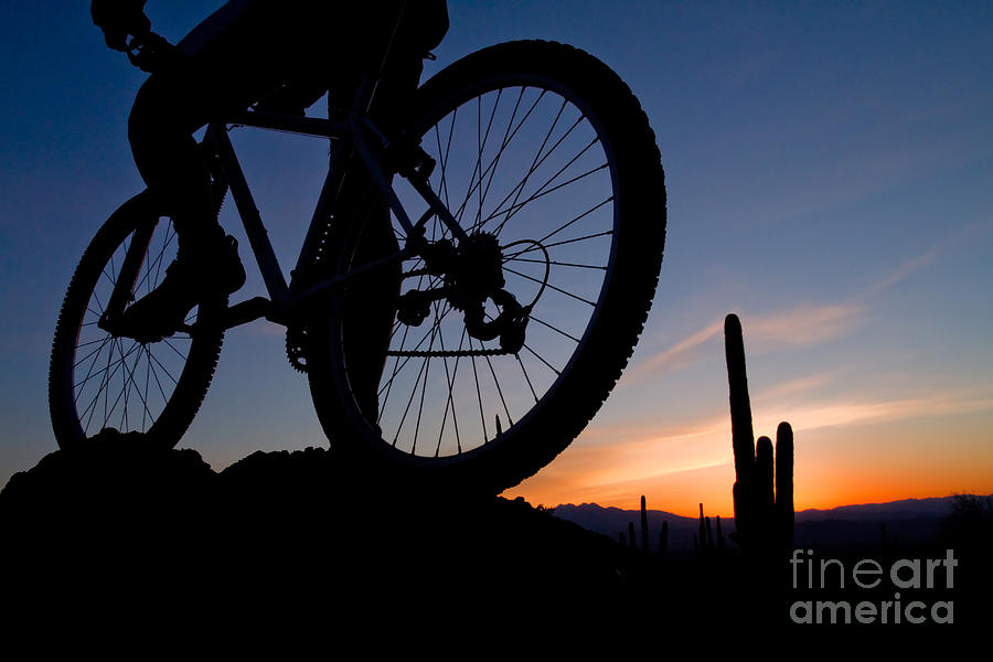 Mountain Biker at Sunrise Photograph by Marianne Jensen