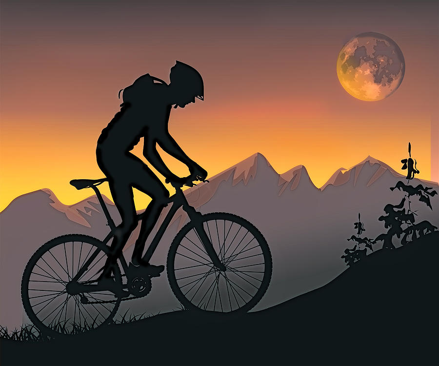 Mountain Painting - Mountain Biker  on Steep hill at Sunset by Elaine Plesser