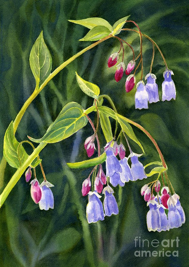 Mountain Bluebells Painting - Mountain Bluebells with Background by Sharon Freeman