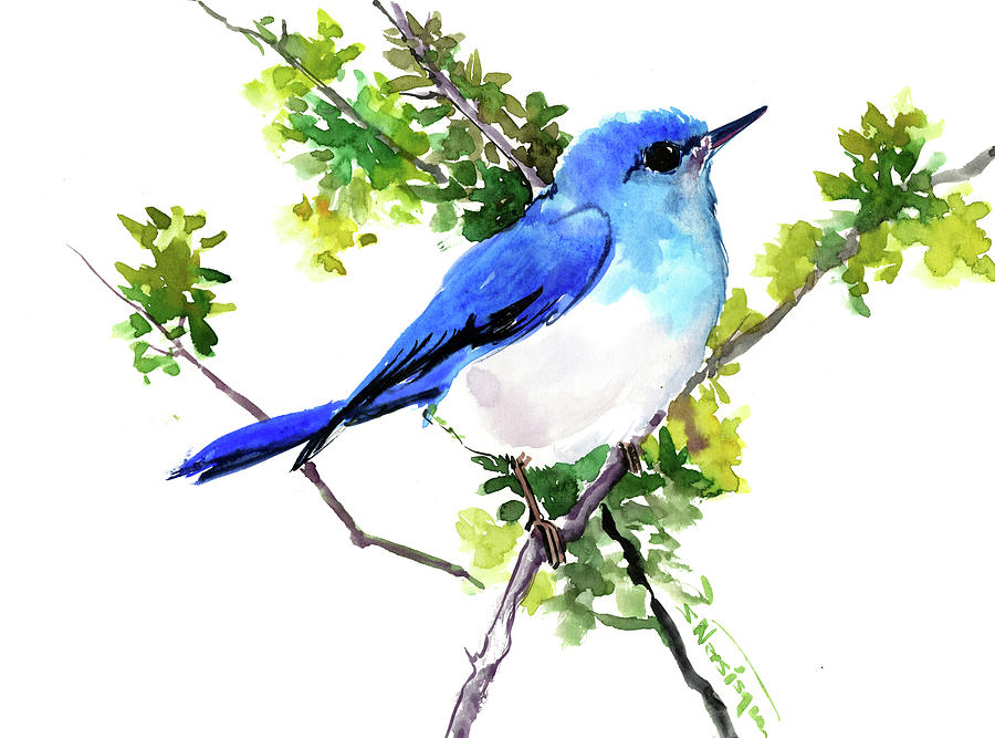 Mountain Bluebird Artwork Painting by Suren Nersisyan