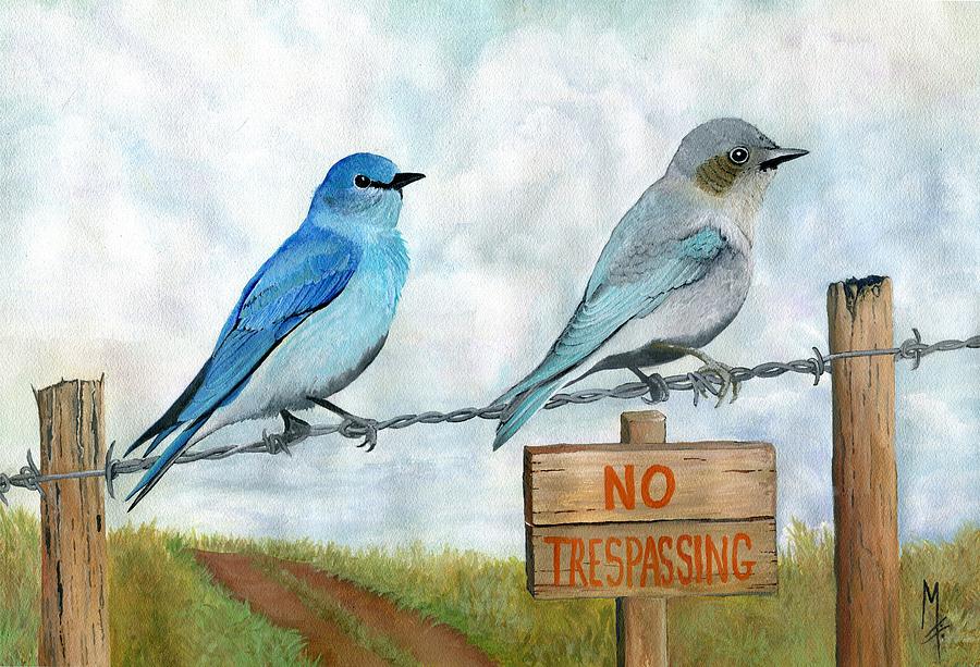 Bird Painting - Mountain Bluebird by Marsha Friedman