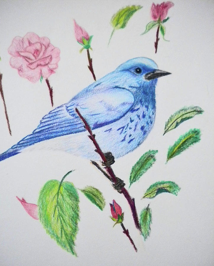 Mountain Bluebird Painting by Susan Pernot | Fine Art America