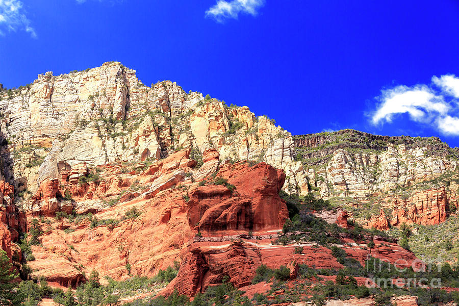 Mountain Colors in Oak Creek Canyon Photograph by John Rizzuto