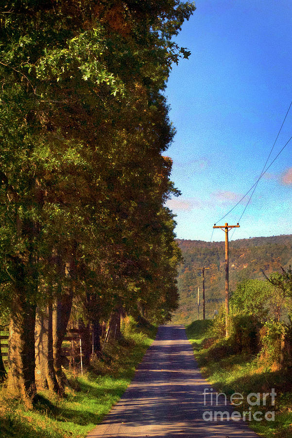 Mountain Country Road Photograph by Skip Willits