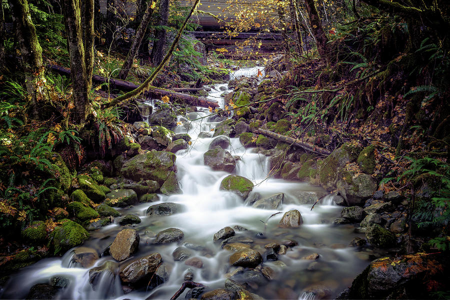 Landscape Photograph - Mountain Creek by Spencer McDonald