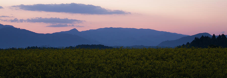 Mountain dawn Photograph by Ian Middleton