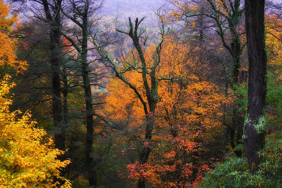 Mountain Fall Colors Photograph by Ken Barrett