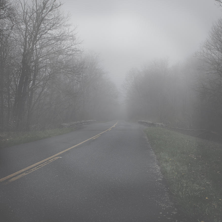 Mountain Fog Photograph by Joseph G Holland