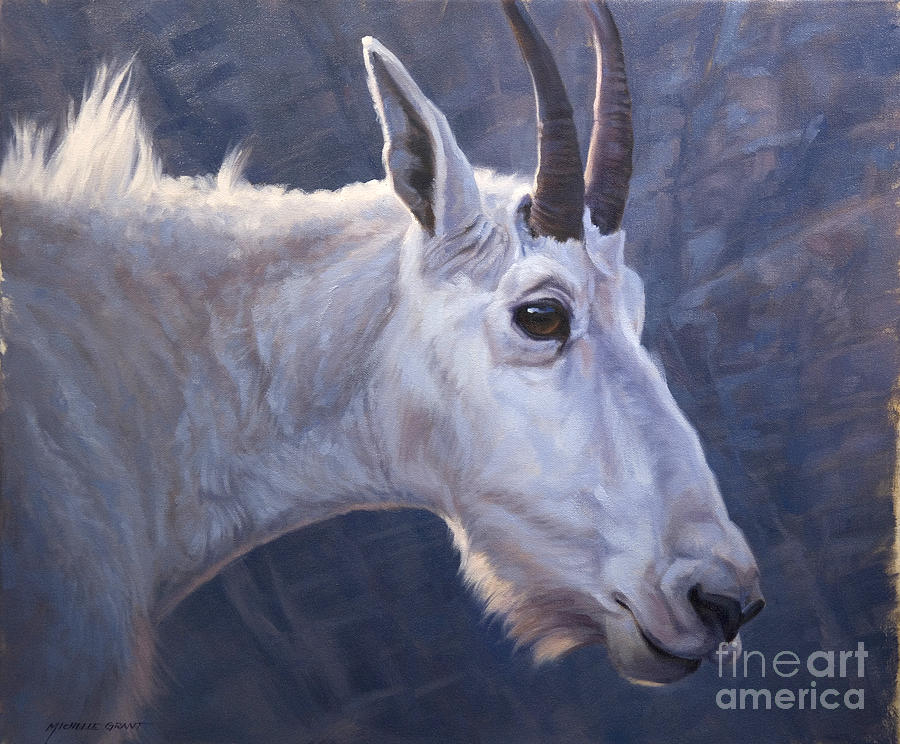 Mountain Goat study Painting by JQ Licensing