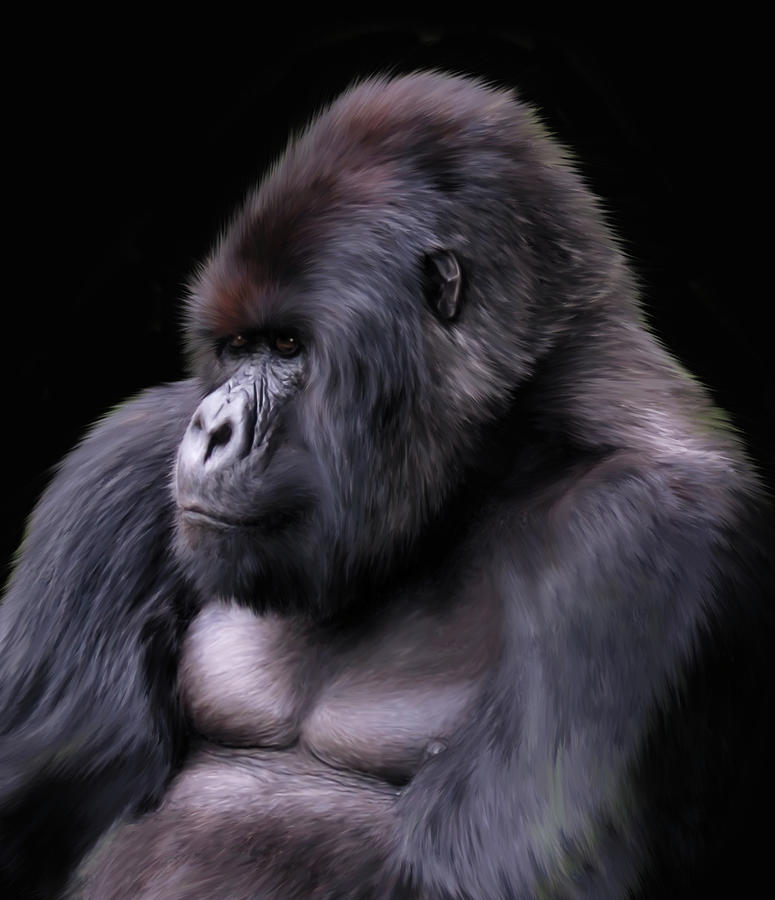 Gorilla Digital Art - Mountain Gorilla by Julie L Hoddinott