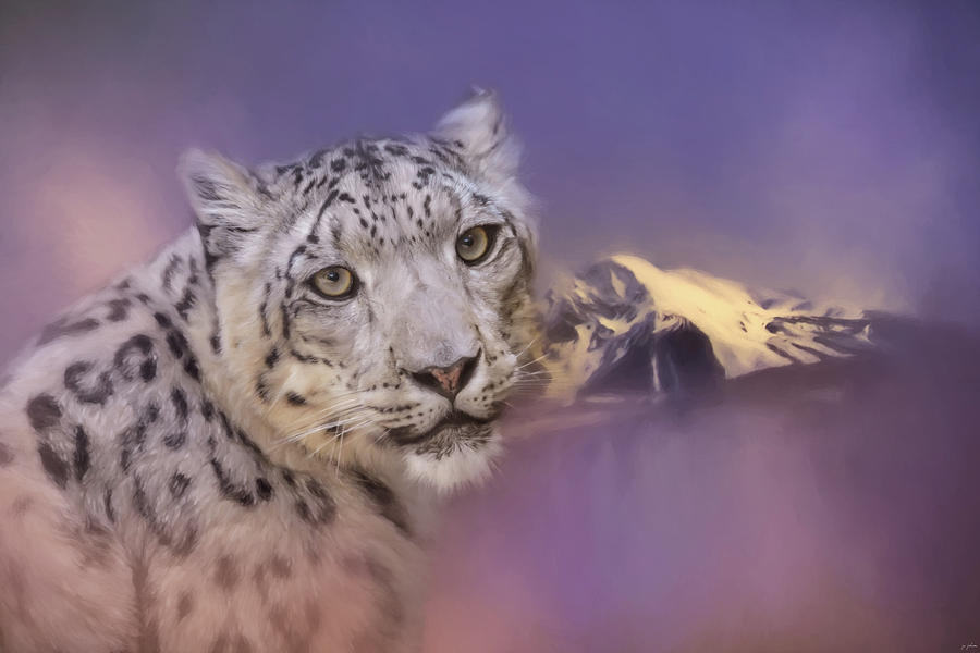Mountain Guardian Snow Leopard Art Photograph by Jai Johnson