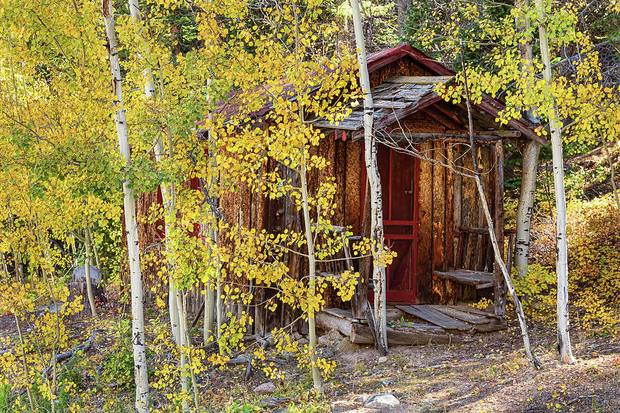 Cabin Photograph - Mountain Hideaway by James BO Insogna