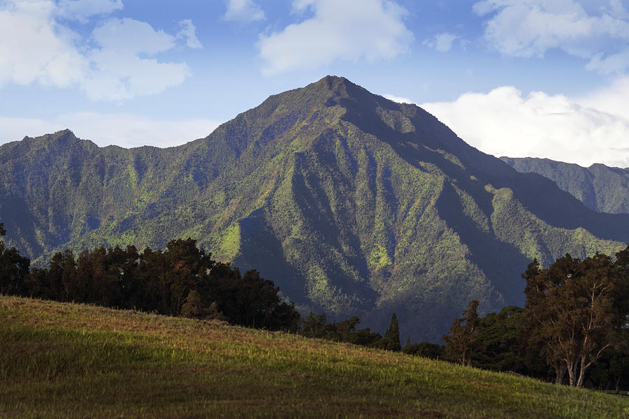 Mountain in Kauai Photograph by Frank Wilson