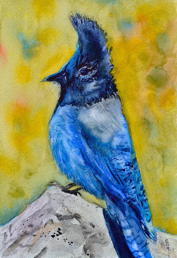 Bird Painting - Mountain Jay by Beverley Harper Tinsley