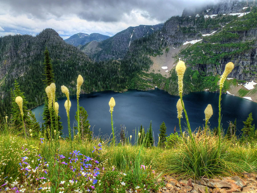 Flower Photograph - Mountain Lake And Bear Grass by Robert Hosea