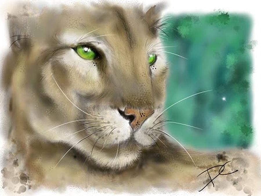 Mountain Lion Digital Art by Darren Cannell