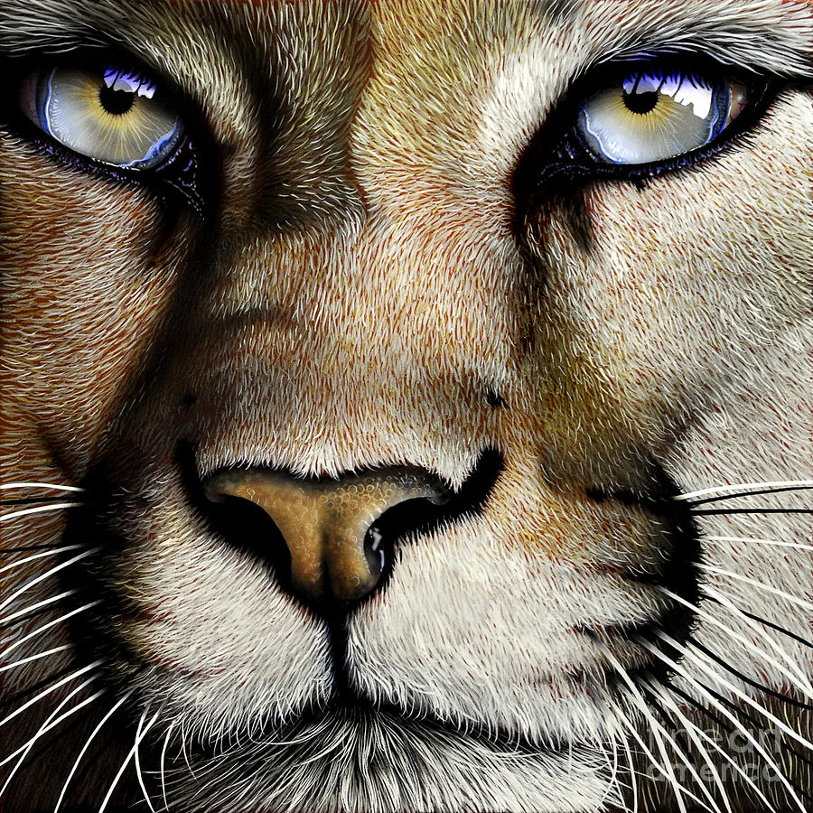 Wildlife Painting - Mountain Lion by Jurek Zamoyski