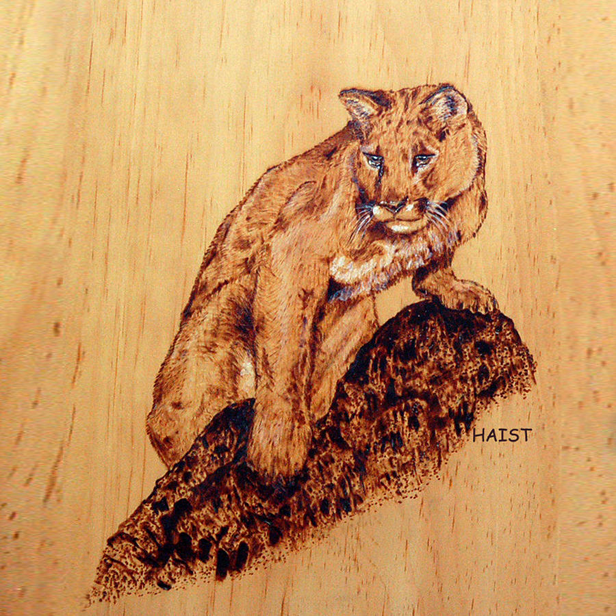 Mountain Lion Pillow/bag Pyrography by Ron Haist