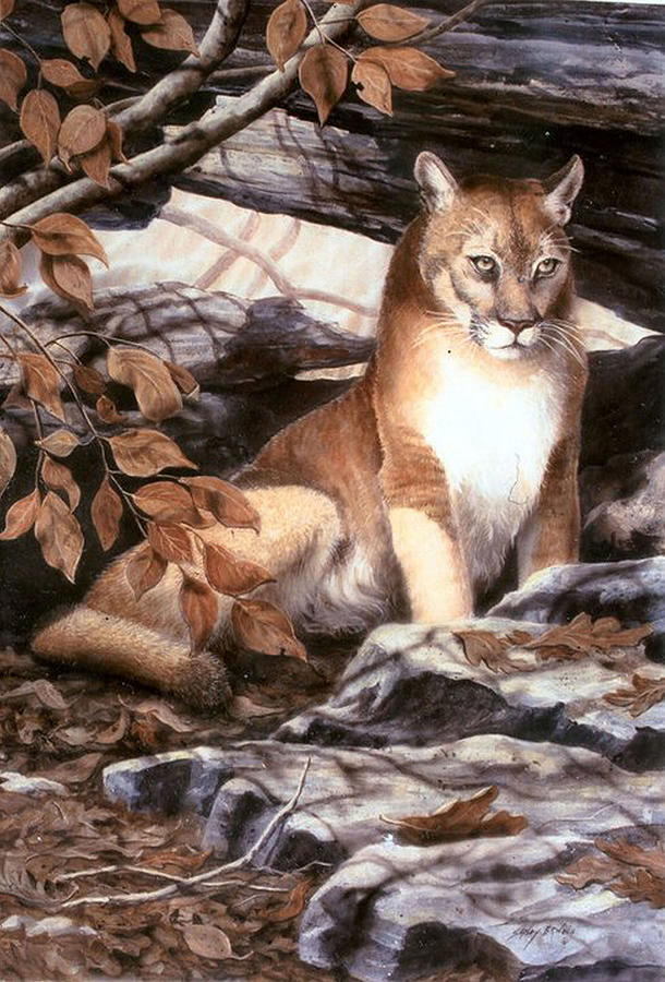 Mountain Lion  SOLD  PRINTS AVAILABLE Painting by Sandy Brindle