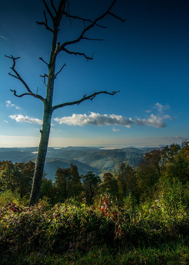Mountain Photograph - Mountain Lookout by Larry Jones