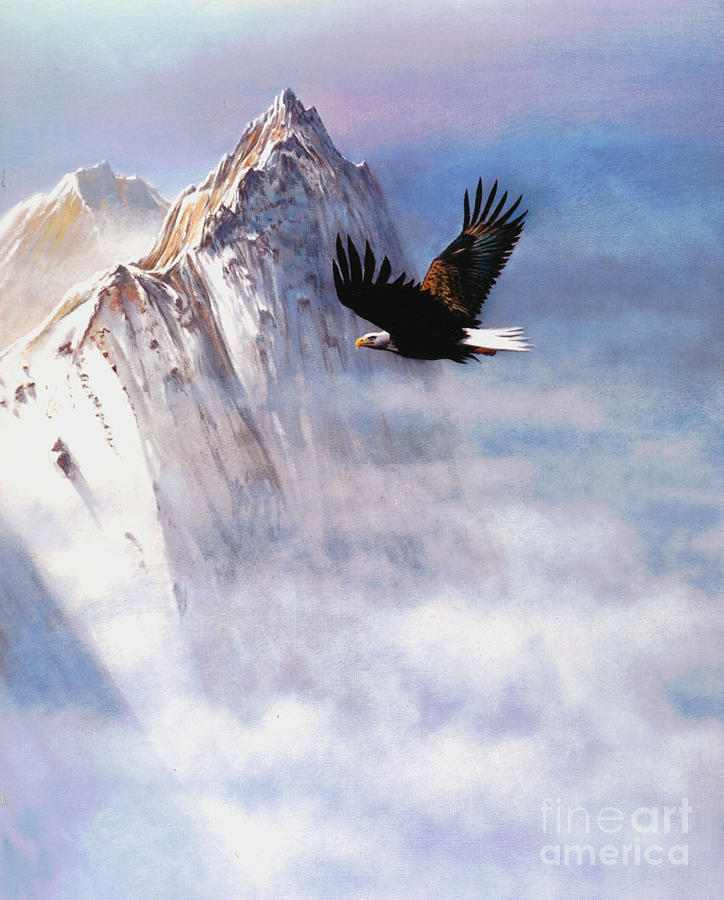 Eagle Painting - Mountain Majesty by Robert Foster
