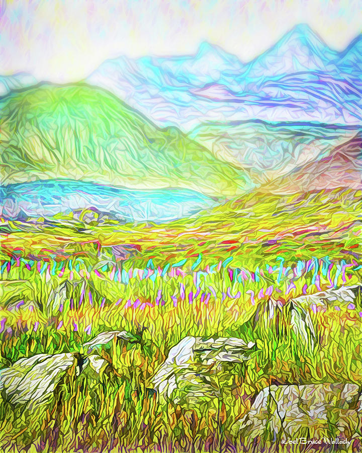 Mountain Digital Art - Mountain Meadow Boulders - Colorado Front Range by Joel Bruce Wallach
