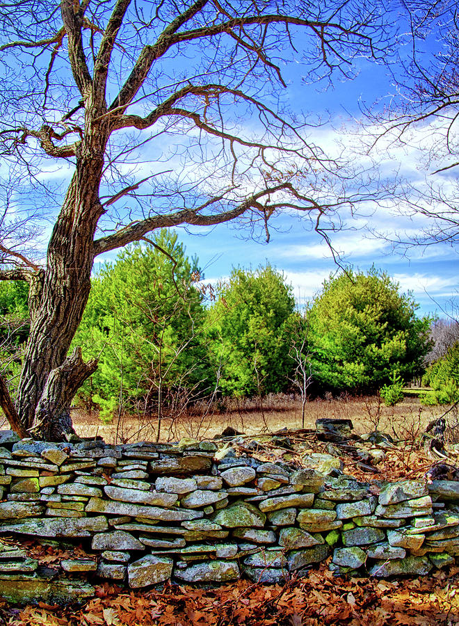 Mountain Meadow Stone Wall Photograph by Carolyn Derstine