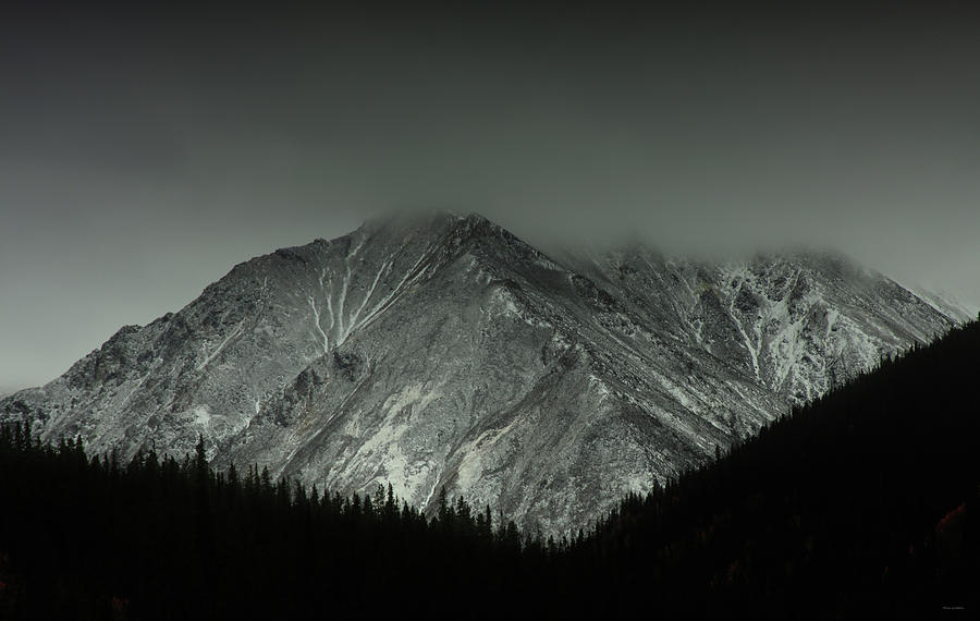 Mountain Mist Photograph by Brian Gustafson