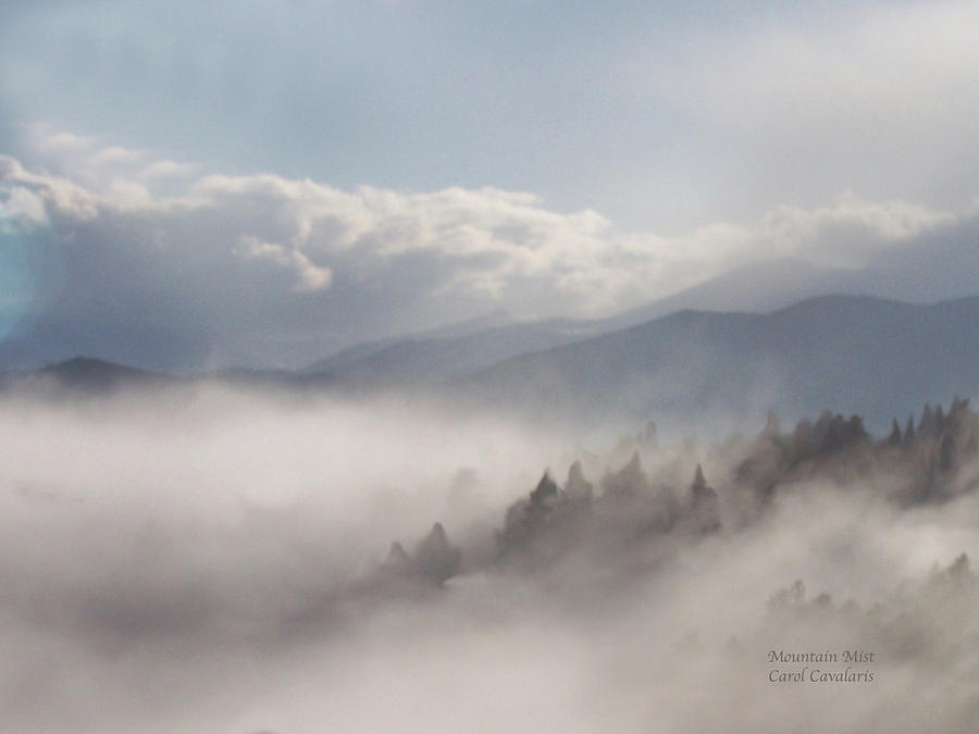 Mountain Mist Mixed Media by Carol Cavalaris